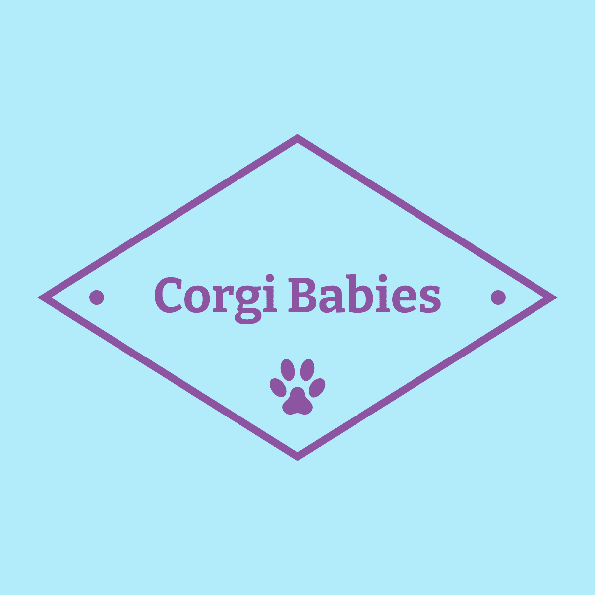 Corgi Babies